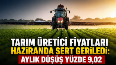 Türkiye İstatistik Kurumu verilerine göre Tarım Ürünleri Üretici Fiyat Endeksi,