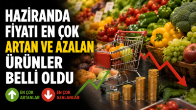 Tüketici fiyatları bazında haziranda en yüksek fiyat artışı yüzde 54,26