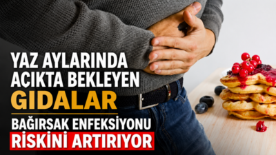 Yaz aylarında hava sıcaklıklarının artmasıyla bakteri, virüs ve parazitlerin daha