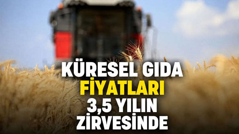 Küresel gıda fiyatları, jeopolitik risklerin tedarik zincirlerinde yol açtığı aksaklıklar