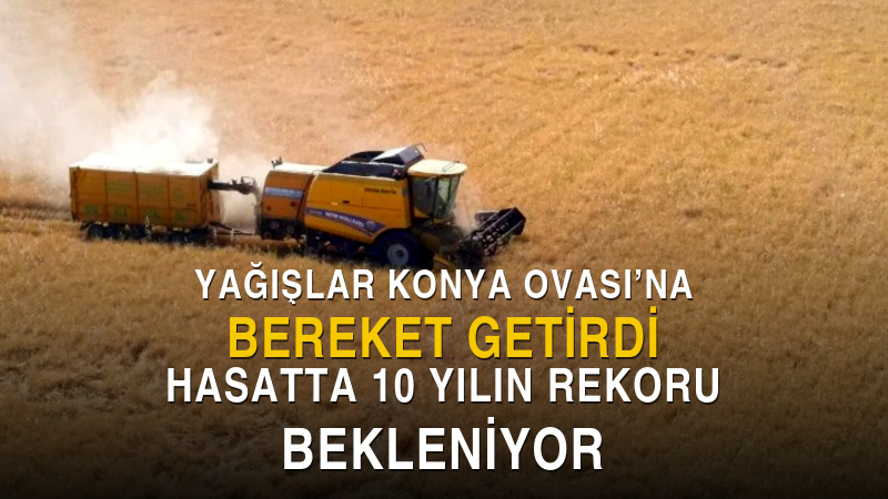 Türkiye’nin tahıl ambarı Konya’da yaklaşık 10 milyon dekar alandaki arpa