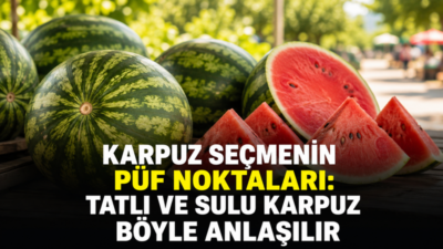 Yaz sofralarının vazgeçilmezi karpuzu seçerken yalnızca büyüklüğüne bakmak yeterli değil.