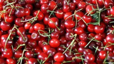 Türkiye’de bu yıl kiraz üretiminde yüksek rekolte ve kaliteli ürün