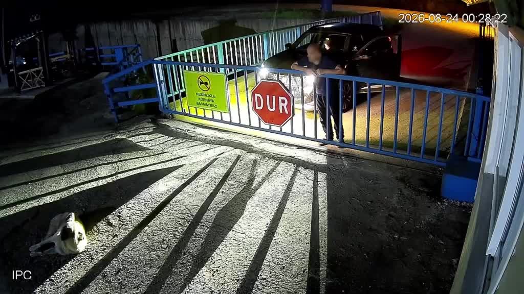 Giresun’un Sultaniye köyünde bir fabrikanın girişinde yolda yatan sahipsiz köpeğin