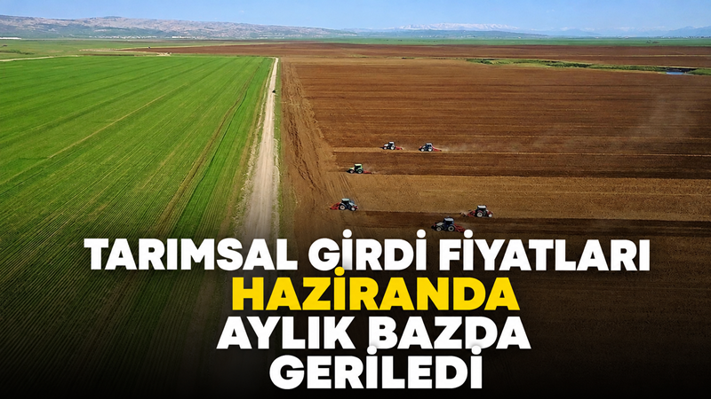 Tarımsal Girdi Fiyat Endeksi haziranda bir önceki aya göre yüzde