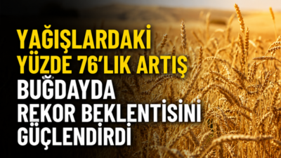 Türkiye’de yağışların geçen yıla göre yüzde 76 artması, buğday üretiminde