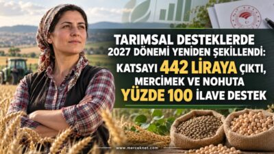 8 Eylül 2026 tarihli Resmî Gazete’de yayımlanan 11781 sayılı Cumhurbaşkanı