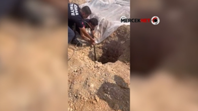 Adana’nın Çukurova ilçesinde bir şantiyedeki kuyuya düşen sahipsiz köpek, itfaiye