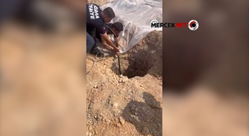 Adana’nın Çukurova ilçesinde bir şantiyedeki kuyuya düşen sahipsiz köpek, itfaiye