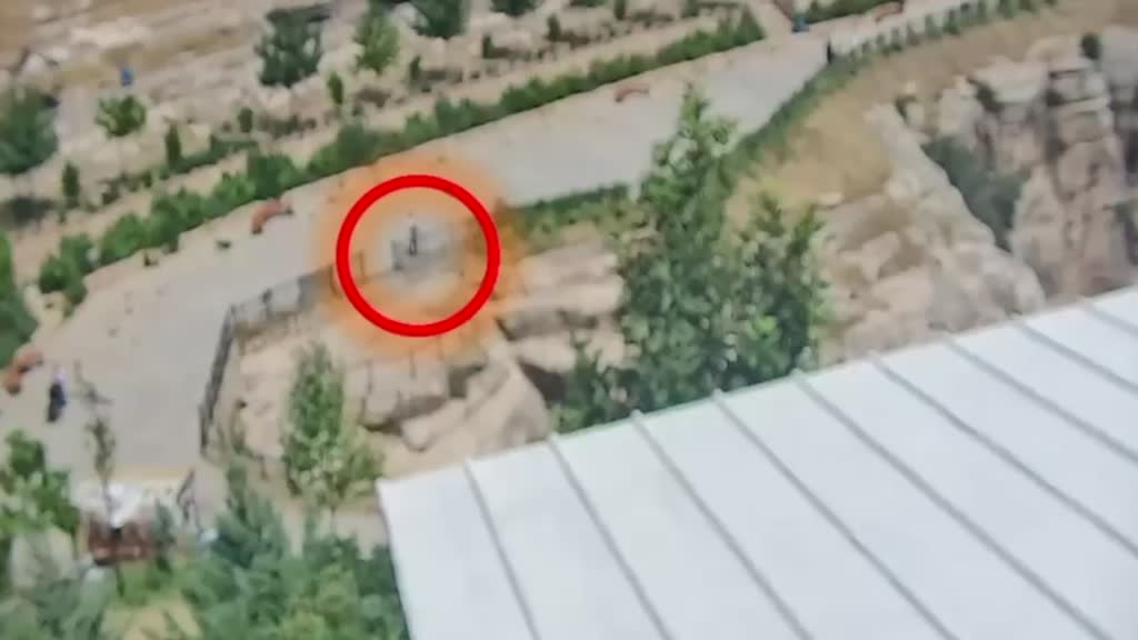 Siirt’te Deliklitaş bölgesinde unutulan bir çantanın içerisindeki 3 altın bileziğin
