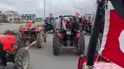 Sakarya’nın Kocaali ilçesinde fındık üreticileri, serbest piyasada oluşan fiyatlar, artan