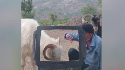 Elazığ’ın Arıcak ilçesinde kırık televizyon kasasını kullanarak hava durumu sunmaya