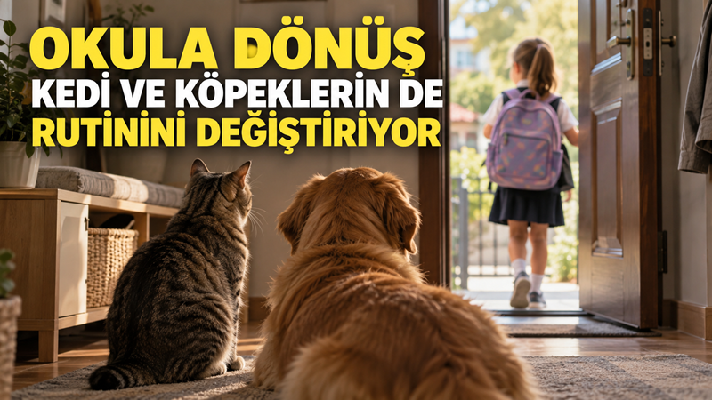 Okulların açılması ve tatil döneminin sona ermesiyle birlikte evlerde günlük