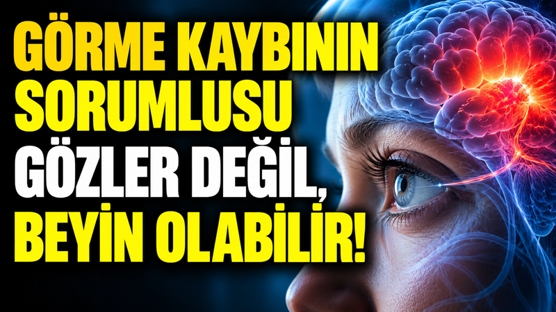 Gözler tamamen sağlıklı olsa bile beyinde meydana gelen hasarlar görme