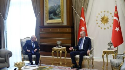 Cumhurbaşkanı Recep Tayyip Erdoğan, Milliyetçi Hareket Partisi (MHP) Genel Başkanı