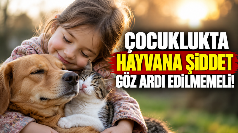 Uzmanlar, hayvanlara yönelik şiddetin tek bir nedene bağlanamayacağını; düşük empati,