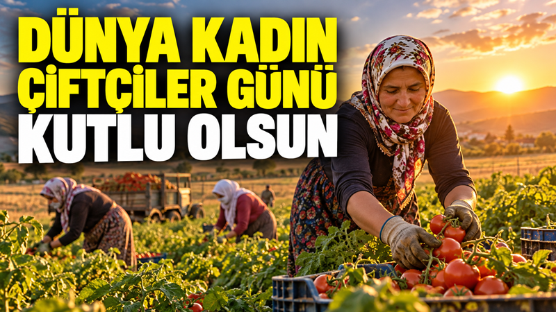Toprağı emekle işleyen, üretimin her aşamasında alın teri döken kadın