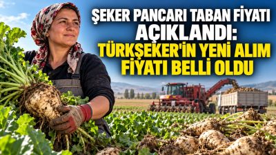 Tarım ve Orman Bakanlığı, 2026-2027 üretim yılı şeker pancarı alım