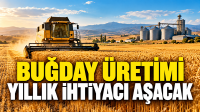 Türkiye’de 2026 yılı buğday üretiminin 24,8 milyon tona ulaşması bekleniyor.